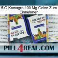 5Gm Kamagra 100Mg Oral Jelly 12